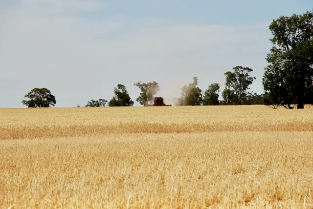 Pest Control for Riverina Farms and Rural Homes
