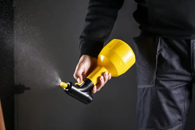 Pest Control in Wagga Wagga
